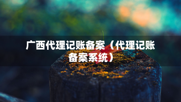 廣西代理記賬備案（代理記賬備案系統(tǒng)）