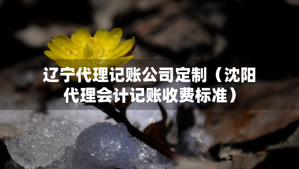遼寧代理記賬公司定制（沈陽代理會計記賬收費標準）