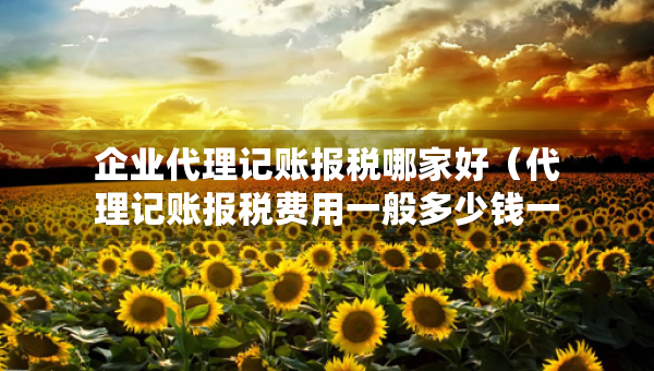 企業(yè)代理記賬報稅哪家好（代理記賬報稅費用一般多少錢一個月）