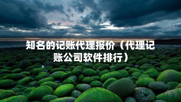 知名的記賬代理報價（代理記賬公司軟件排行）