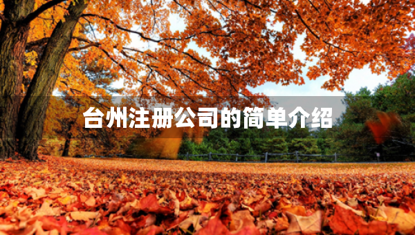 臺州注冊公司的簡單介紹