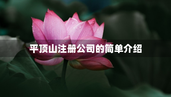 平頂山注冊(cè)公司的簡(jiǎn)單介紹