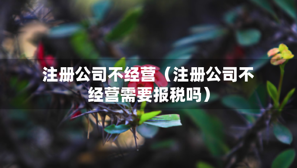 注冊公司不經(jīng)營（注冊公司不經(jīng)營需要報稅嗎）