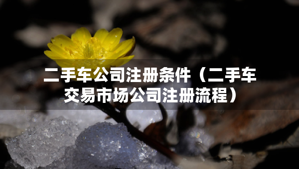 二手車公司注冊(cè)條件（二手車交易市場(chǎng)公司注冊(cè)流程）