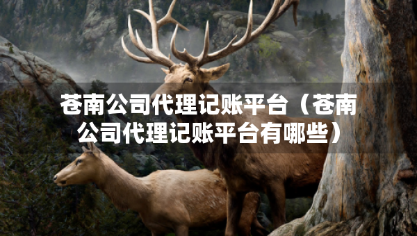 蒼南公司代理記賬平臺（蒼南公司代理記賬平臺有哪些）