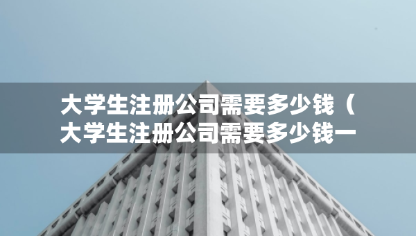 大學生注冊公司需要多少錢（大學生注冊公司需要多少錢一個月）