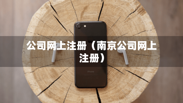 公司網(wǎng)上注冊（南京公司網(wǎng)上注冊）