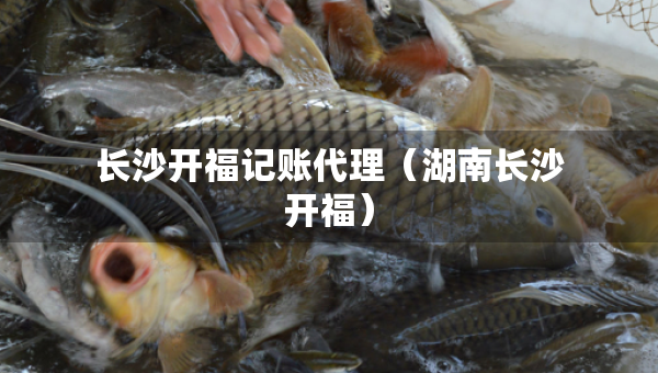 長(zhǎng)沙開(kāi)福記賬代理（湖南長(zhǎng)沙開(kāi)福）