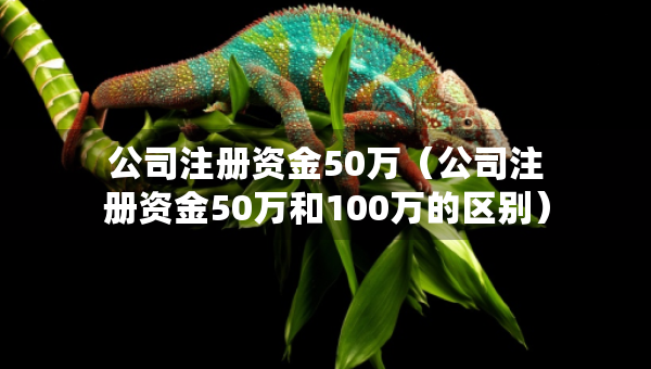 公司注冊(cè)資金50萬(wàn)（公司注冊(cè)資金50萬(wàn)和100萬(wàn)的區(qū)別）