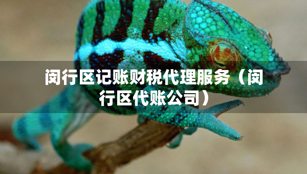 閔行區(qū)記賬財稅代理服務（閔行區(qū)代賬公司）