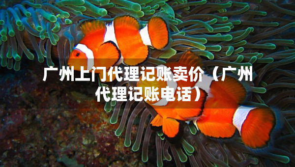 廣州上門代理記賬賣價(jià)（廣州代理記賬電話）