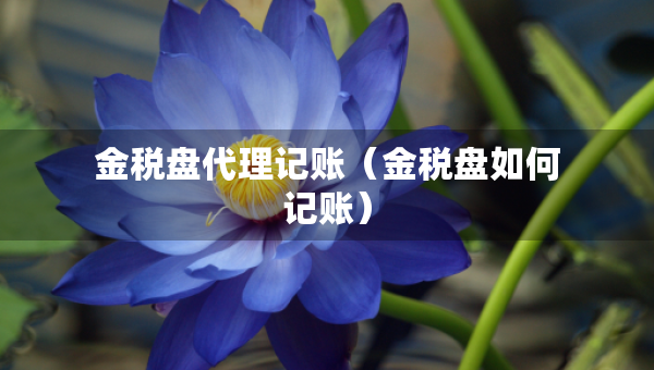 金稅盤代理記賬（金稅盤如何記賬）