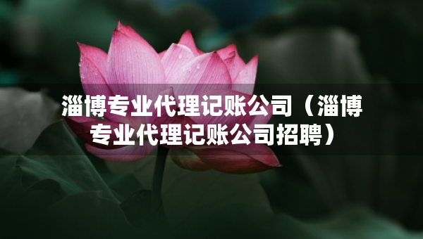 淄博專業(yè)代理記賬公司（淄博專業(yè)代理記賬公司招聘）