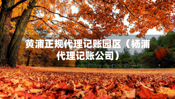 黃浦正規(guī)代理記賬園區(qū)（楊浦代理記賬公司）