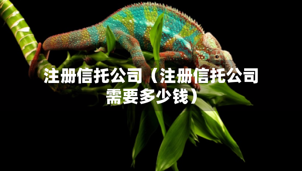 注冊(cè)信托公司（注冊(cè)信托公司需要多少錢(qián)）