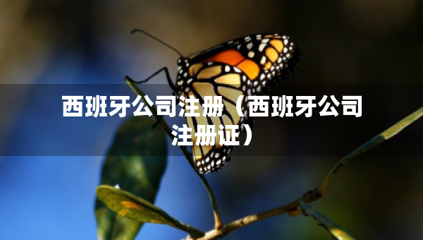西班牙公司注冊（西班牙公司注冊證）