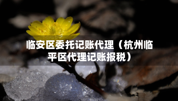 臨安區(qū)委托記賬代理（杭州臨平區(qū)代理記賬報(bào)稅）