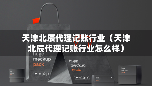 天津北辰代理記賬行業(yè)（天津北辰代理記賬行業(yè)怎么樣）