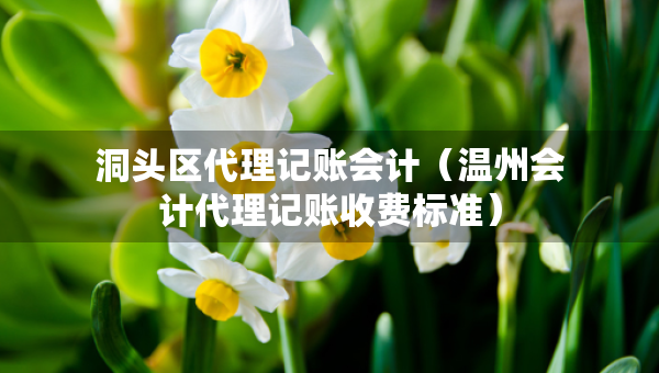 洞頭區(qū)代理記賬會計（溫州會計代理記賬收費標(biāo)準(zhǔn)）