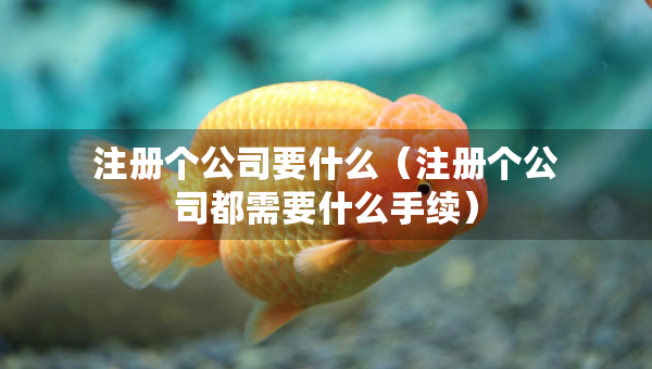 注冊個公司要什么（注冊個公司都需要什么手續(xù)）