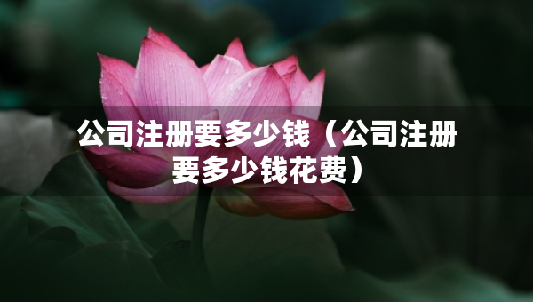 公司注冊(cè)要多少錢（公司注冊(cè)要多少錢花費(fèi)）