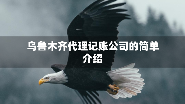 烏魯木齊代理記賬公司的簡單介紹