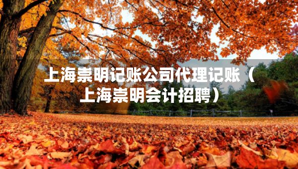 上海崇明記賬公司代理記賬（上海崇明會(huì)計(jì)招聘）