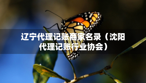 遼寧代理記賬商家名錄（沈陽代理記賬行業(yè)協(xié)會(huì)）
