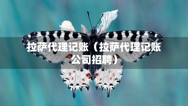 拉薩代理記賬（拉薩代理記賬公司招聘）
