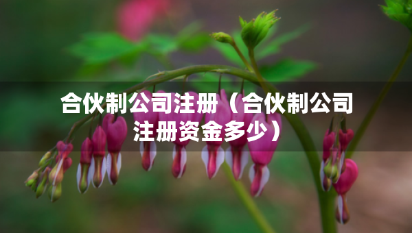 合伙制公司注冊(cè)（合伙制公司注冊(cè)資金多少）