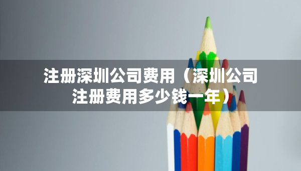 注冊(cè)深圳公司費(fèi)用（深圳公司注冊(cè)費(fèi)用多少錢(qián)一年）
