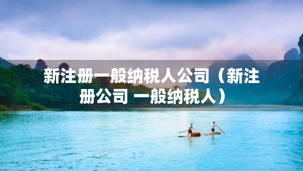 新注冊一般納稅人公司（新注冊公司 一般納稅人）
