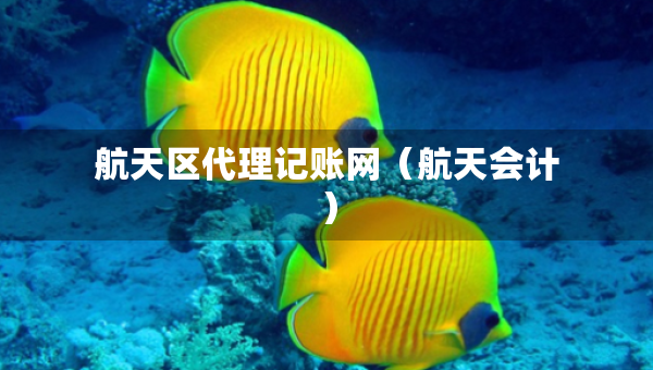 航天區(qū)代理記賬網(wǎng)（航天會計(jì)）