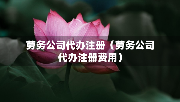 勞務(wù)公司代辦注冊（勞務(wù)公司代辦注冊費用）