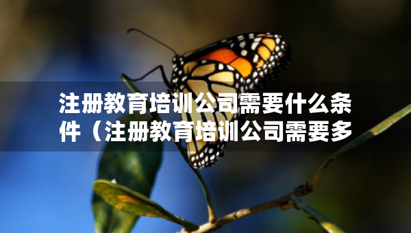 注冊(cè)教育培訓(xùn)公司需要什么條件（注冊(cè)教育培訓(xùn)公司需要多少費(fèi)用）