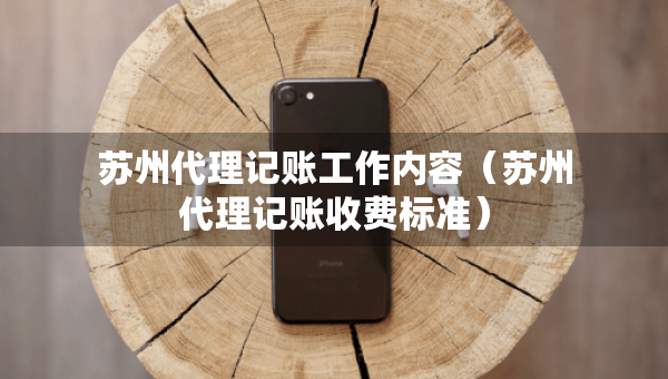 蘇州代理記賬工作內容（蘇州代理記賬收費標準）