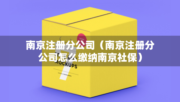 南京注冊分公司（南京注冊分公司怎么繳納南京社保）