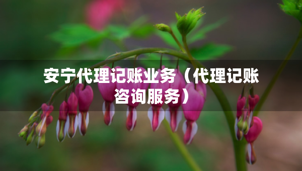 安寧代理記賬業(yè)務(wù)（代理記賬咨詢服務(wù)）