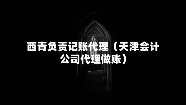 西青負(fù)責(zé)記賬代理（天津會計公司代理做賬）