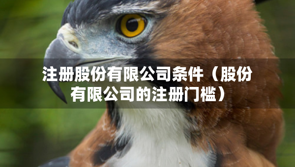 注冊股份有限公司條件（股份有限公司的注冊門檻）
