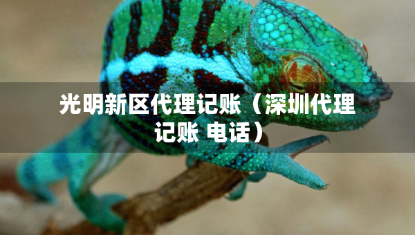 光明新區(qū)代理記賬（深圳代理記賬 電話）