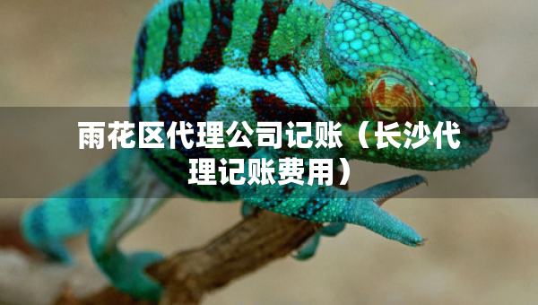 雨花區(qū)代理公司記賬（長(zhǎng)沙代理記賬費(fèi)用）