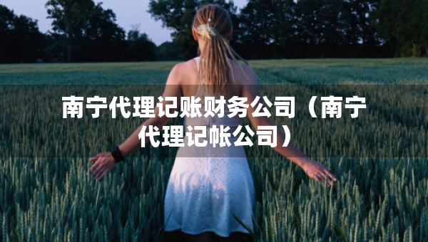 南寧代理記賬財務公司（南寧代理記帳公司）