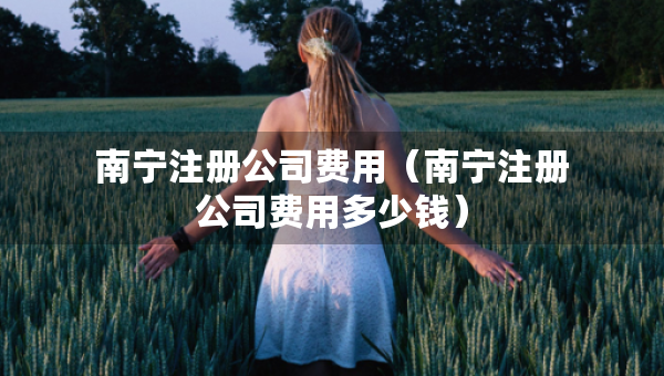 南寧注冊公司費用（南寧注冊公司費用多少錢）