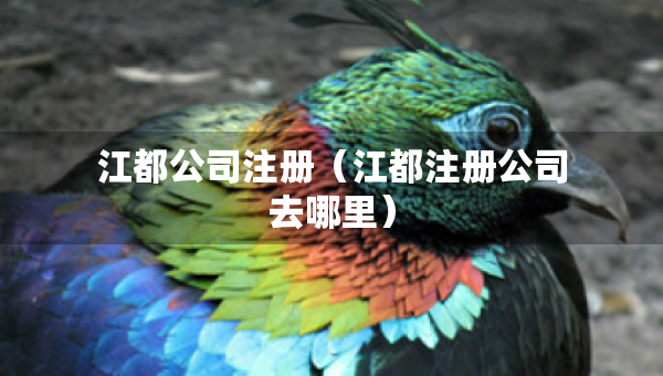 江都公司注冊（江都注冊公司去哪里）