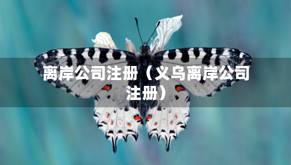 離岸公司注冊（義烏離岸公司注冊）
