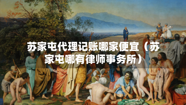 蘇家屯代理記賬哪家便宜（蘇家屯哪有律師事務所）