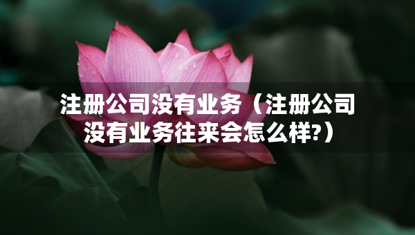 注冊(cè)公司沒(méi)有業(yè)務(wù)（注冊(cè)公司沒(méi)有業(yè)務(wù)往來(lái)會(huì)怎么樣?）