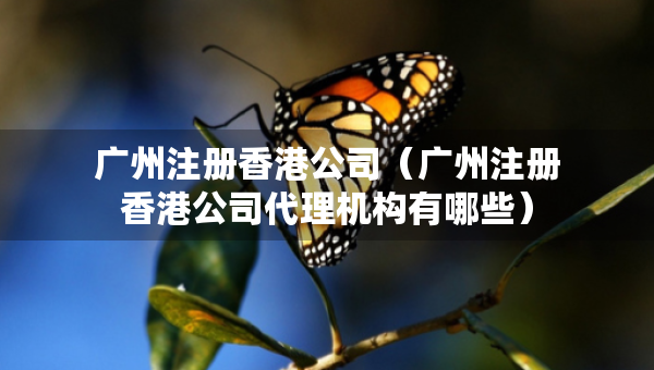 廣州注冊香港公司（廣州注冊香港公司代理機構有哪些）