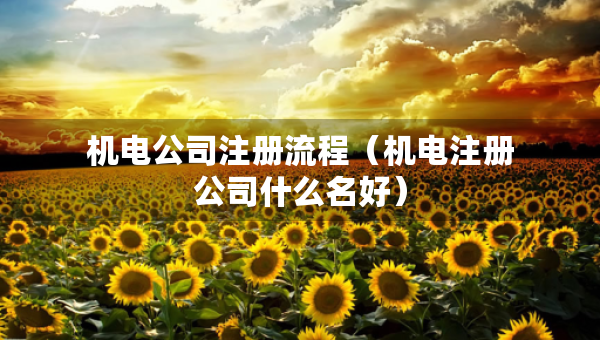 機(jī)電公司注冊流程（機(jī)電注冊公司什么名好）